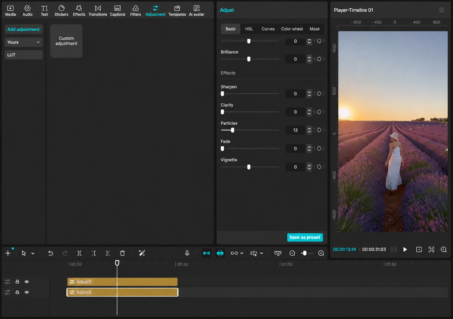 CapCut adjustment layer showing the Particles control set to 13 as a starting example.